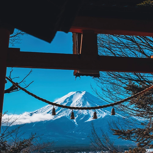 Japonca Terc�me Noter Tasdikli